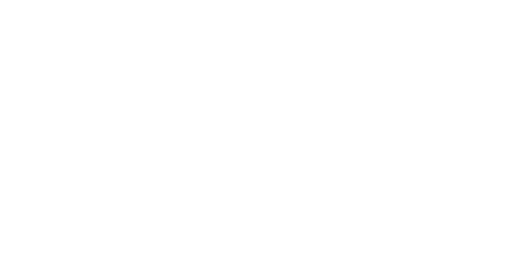 allCare IT